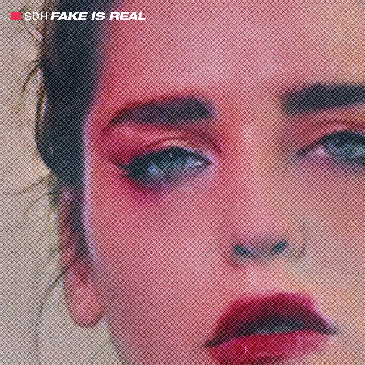 SDH - Fake Is Real LP