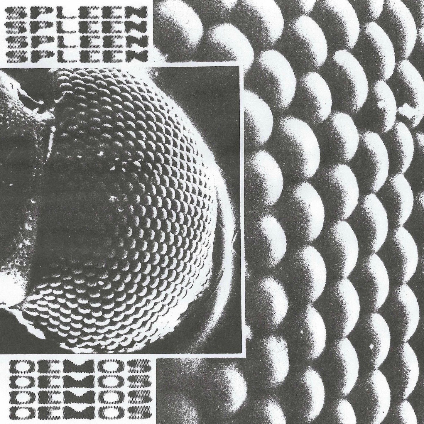 Spleen - Demos LP