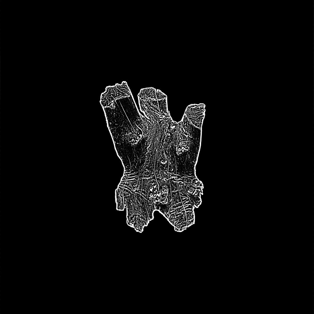 How Much Wood Would A Woodchuck Chuck If A Woodchuck Could Chuck Wood? - S/T LP