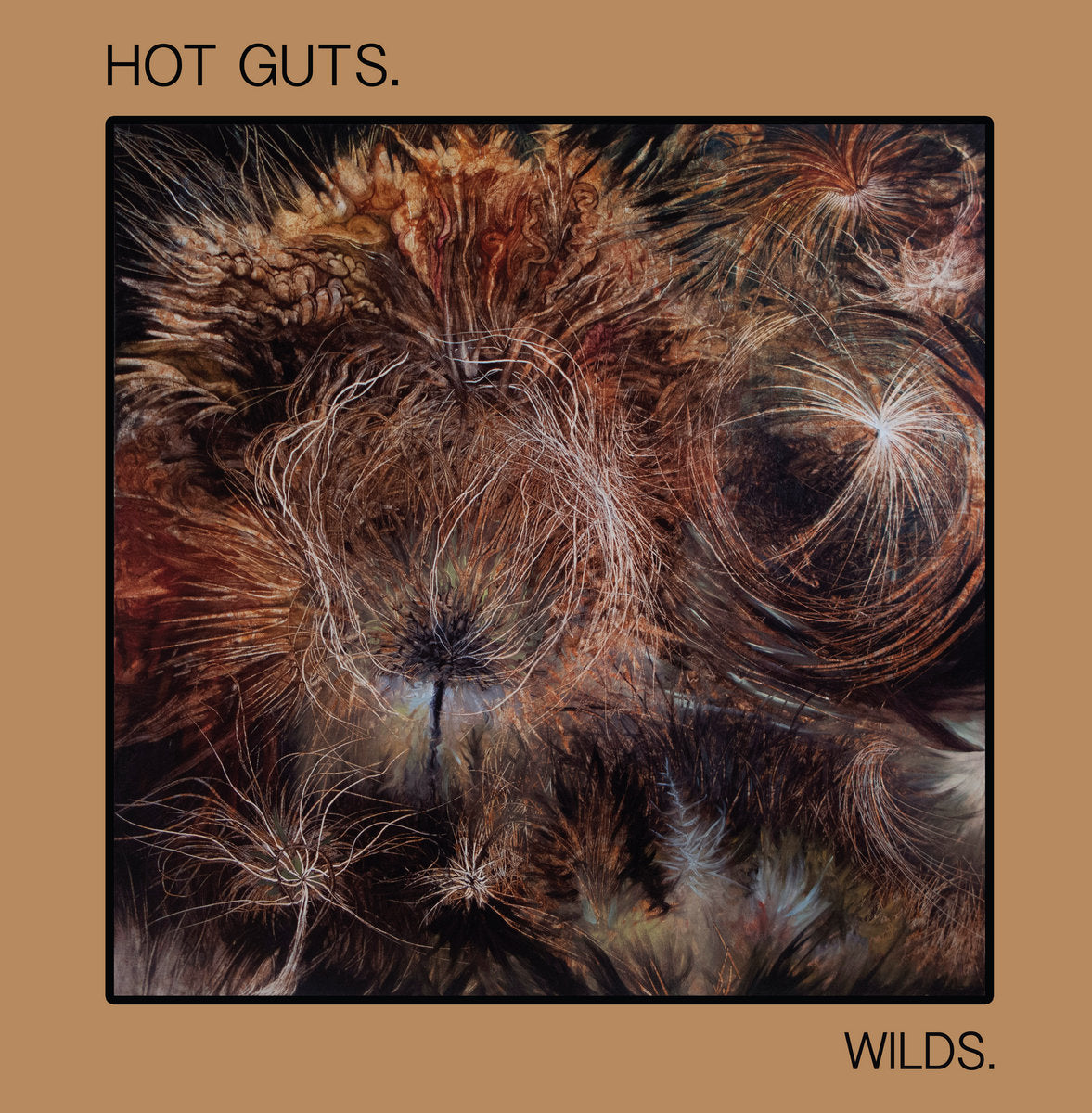 Hot Guts - Wilds LP